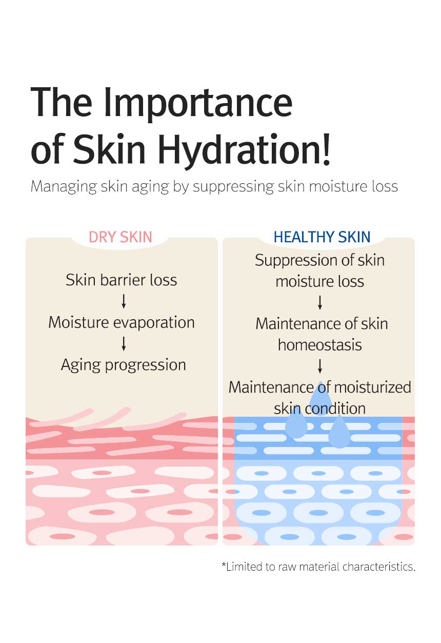 12GRABS Octuple Hyaluron Moist Essence 50ml by Seoulia