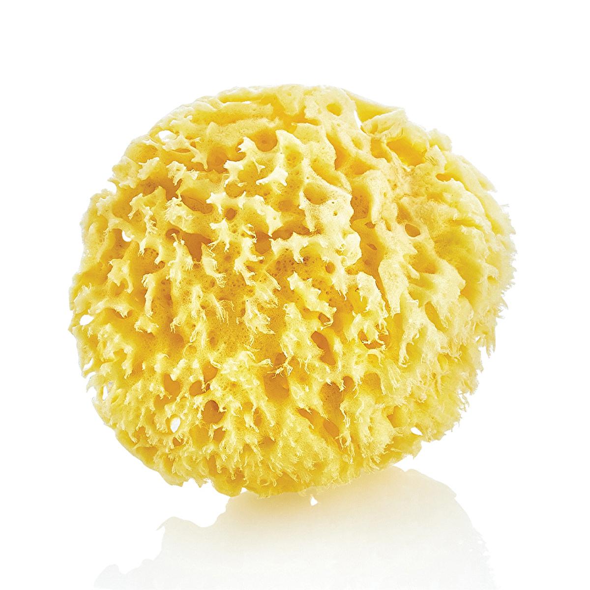 Babyjem natural sea sponge β view 6
