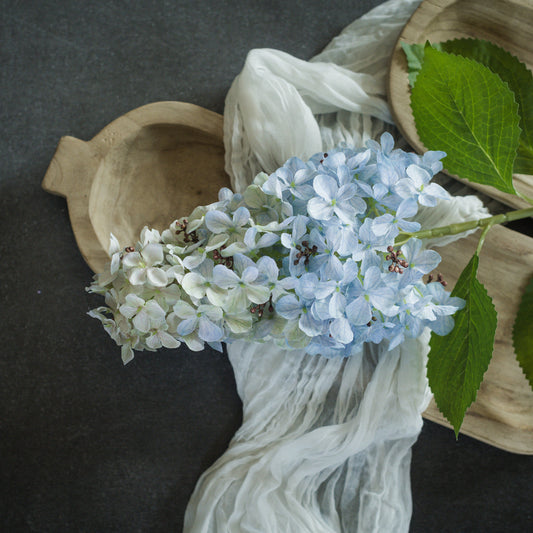 Light Blue Cone Hydrangea Stem by Rust & Cinder