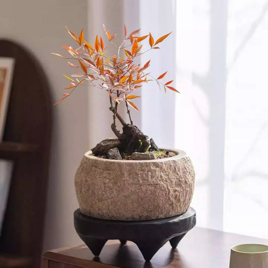 Mesa Cement Pot Planter by RusticReach