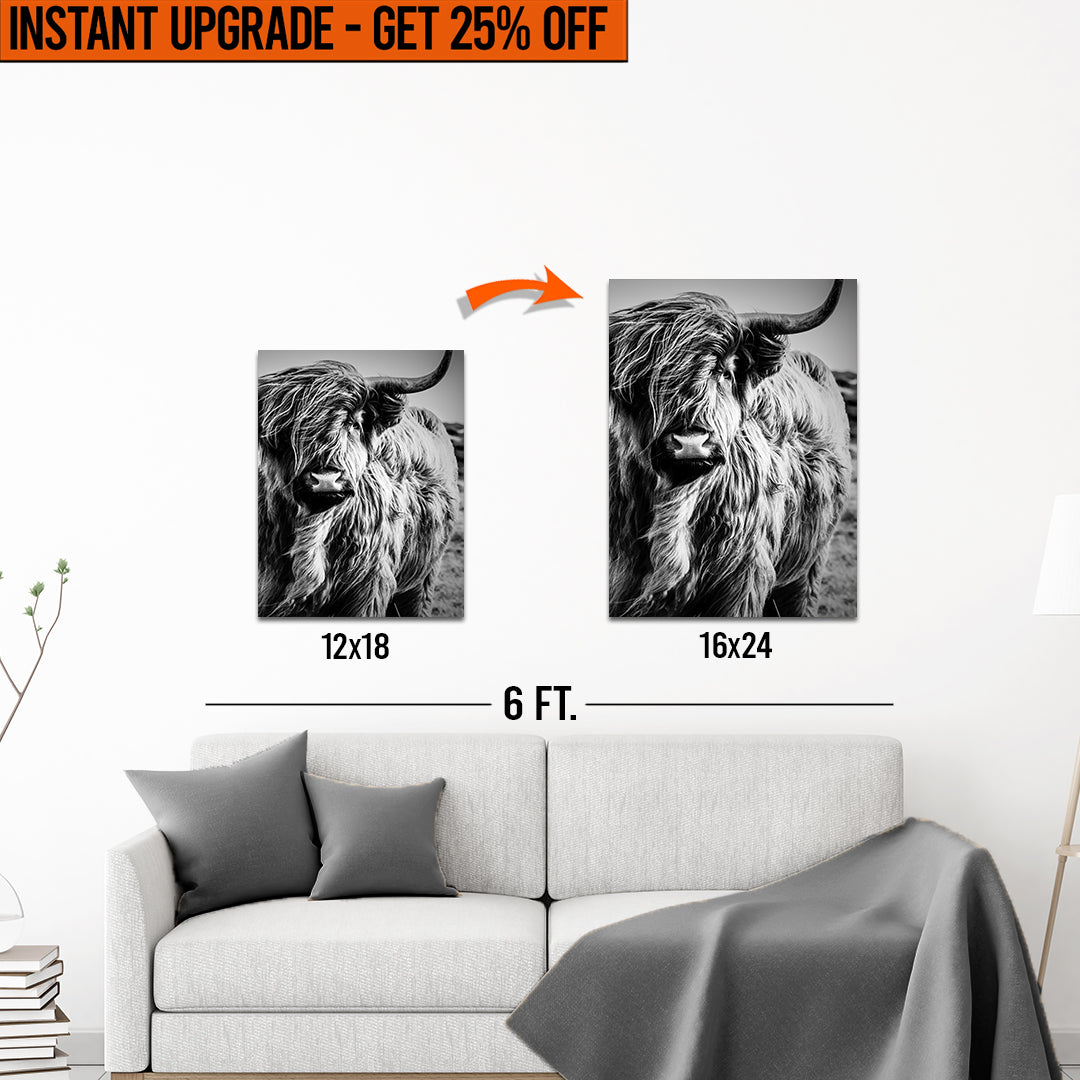 Upgrade Your 18x12 Inches 'Black And White Highland Cow Portrait' Canvas To 16x24 Inches by Tailored Canvases