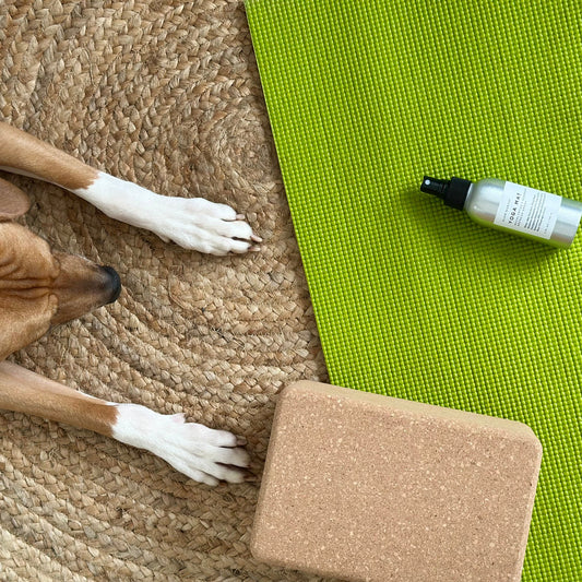 Yoga Mat Spray - Eucalyptus + Rosemary by Slow North