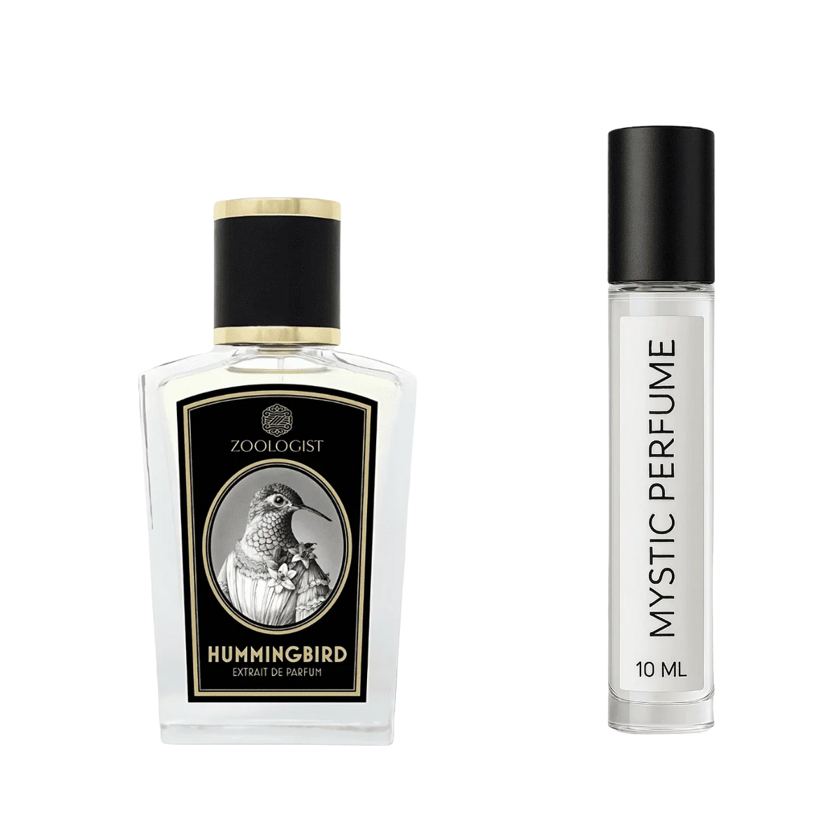 Zoologist Hummingbird Deluxe Bottle by Mystic Store