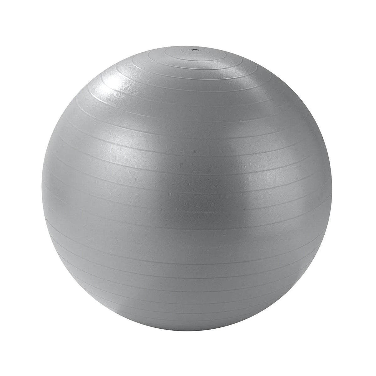 Ideenwelt Gymnastics Ball for Core Strength 65 cm by Beauty Care Bag