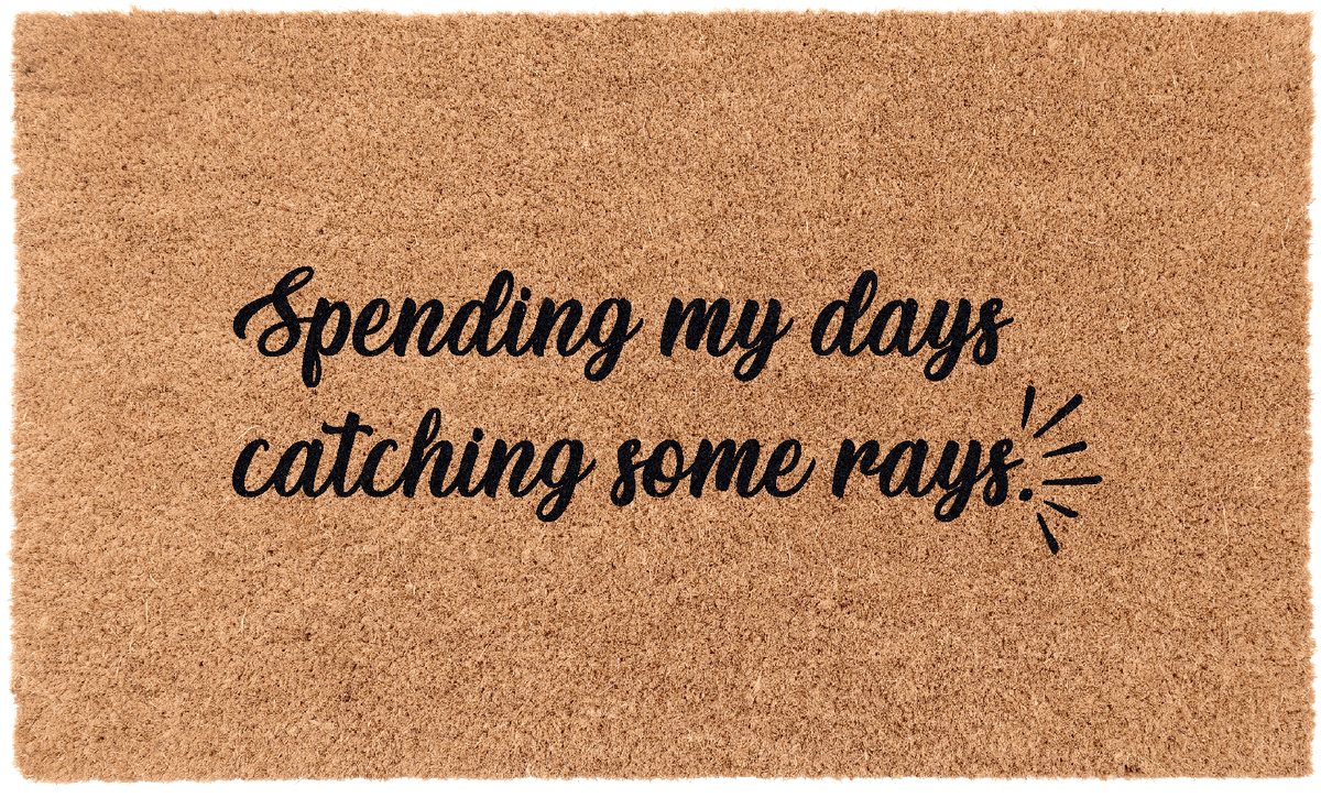 Catching RaysTorqelo.com