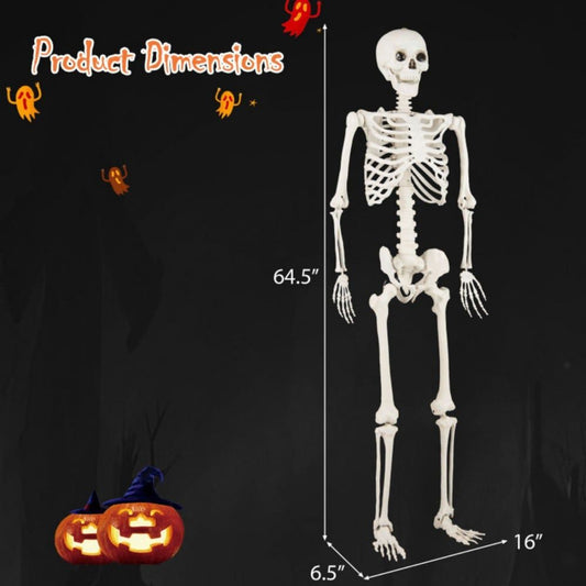 Large Life-Size Halloween Skeleton Decoration - 5.4 FT Realistic Spooky Prop by Doba