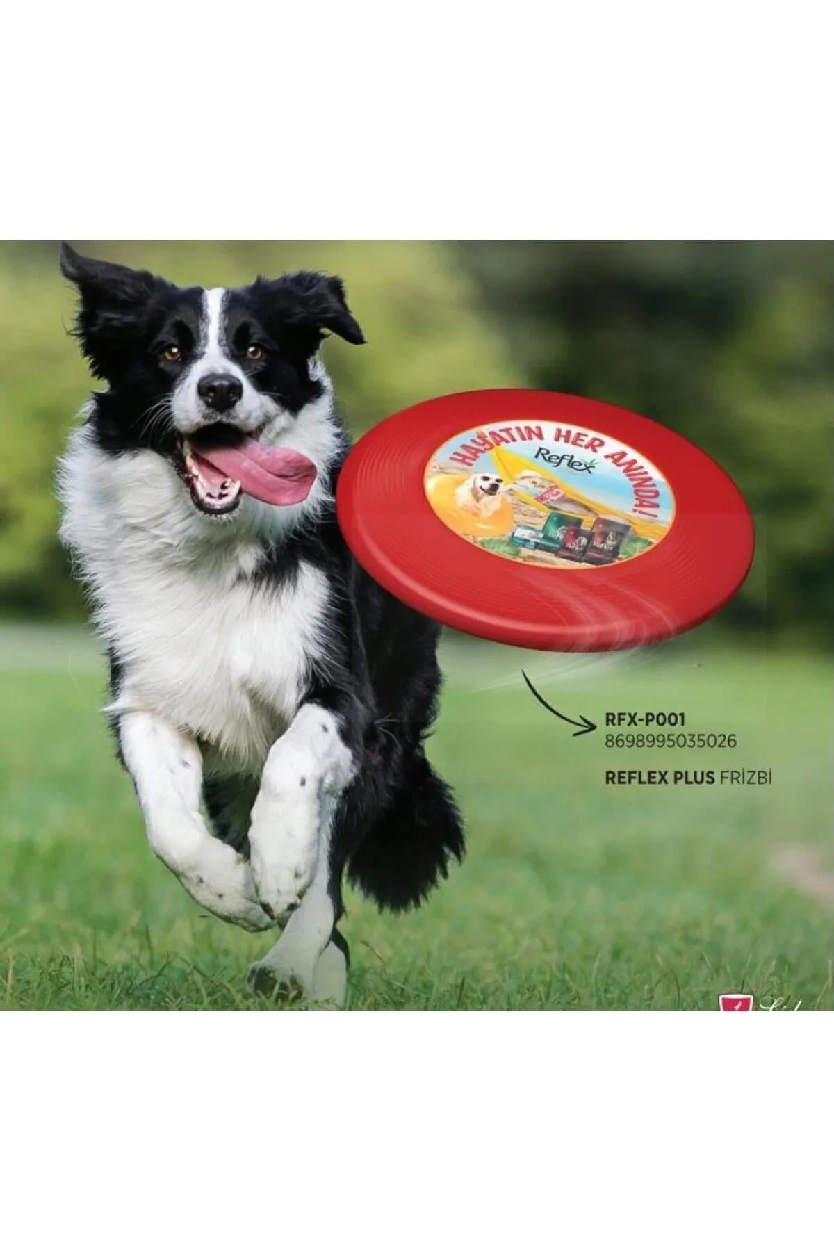 Reflex Plus Durable Dog Frisbee Toy for Active Play by Beauty Care Bag