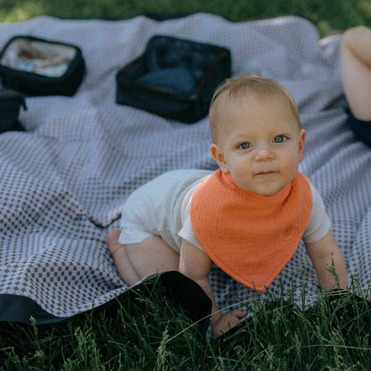 Estes Muslin Bandana Bibs Set (4-Pack) by Parker Baby Co.