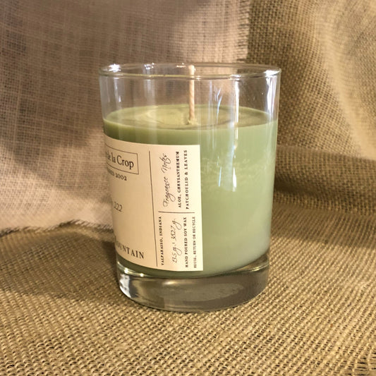 Soy Candle - Jade Mountain (Aloe & Agave)Candle - Hand Poured, SoyTorqelo.com