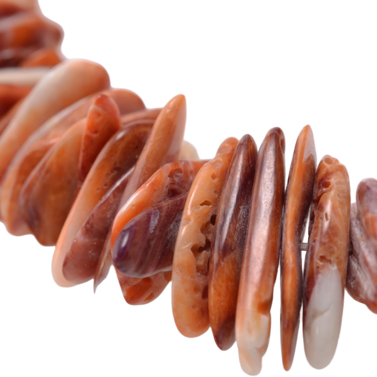 Spiny Oyster Shell Chip Bead Strand 21 Inches - Natural Orange Coral Gemstone Beads by Continental Bead Suppliers