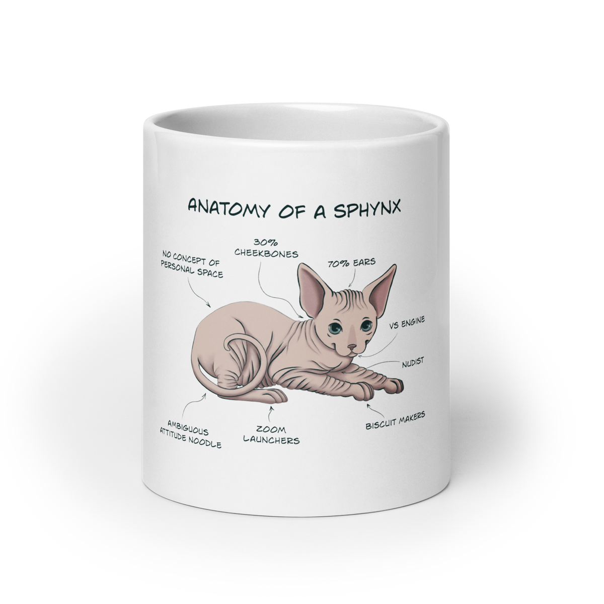 "ANATOMY OF A SPHYNX CAT" COFFEE MUG by ReNewedPet