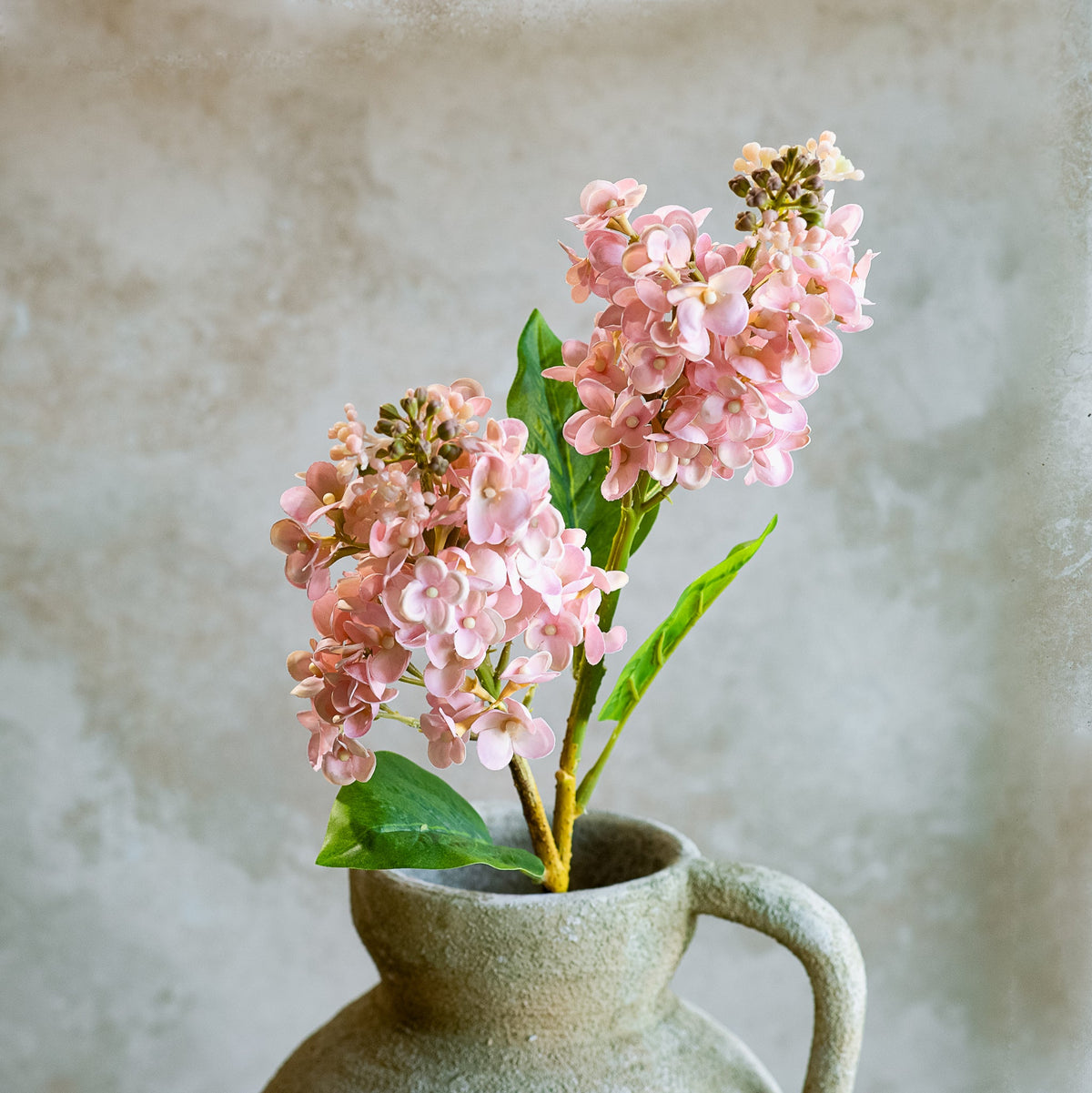 Pink Cone Hydrangea Stem by Rust & Cinder