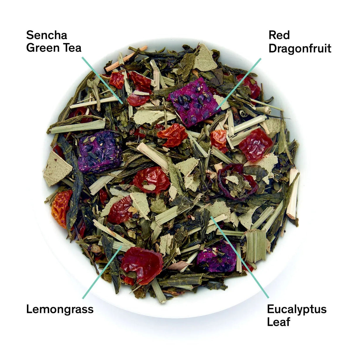 Tropic of Capricorn dragonfruit melon green tea