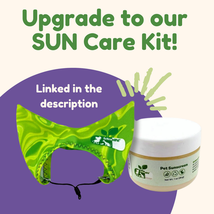 SUN CARE KIT by ReNewedPet