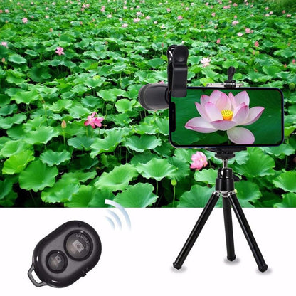 11-in-1 smartphone camera lens kit, Salmon Lucky