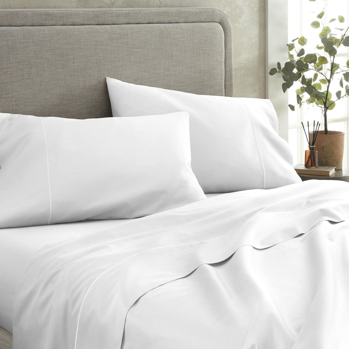 500 TC Sateen Fitted Sheet by Whisper Organics