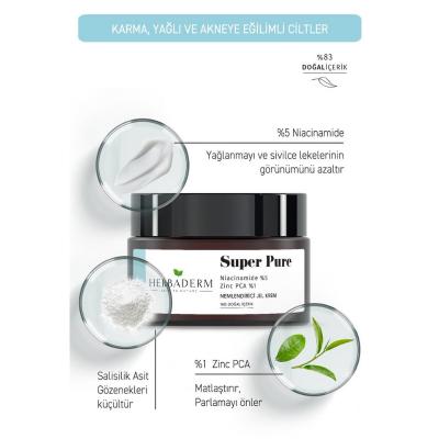 Herbaderm Moisturizing Gel Cream - Niacinamide & Zinc PCA for Acne Prone Skin, Lightweight & Non-Greasy, 1.69 fl oz by Beauty Care Bag