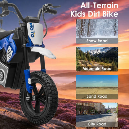 24V Electric Motocross Ride-On Motorcycle for Kids Ages 5-12Ride-On ToyTorqelo.com