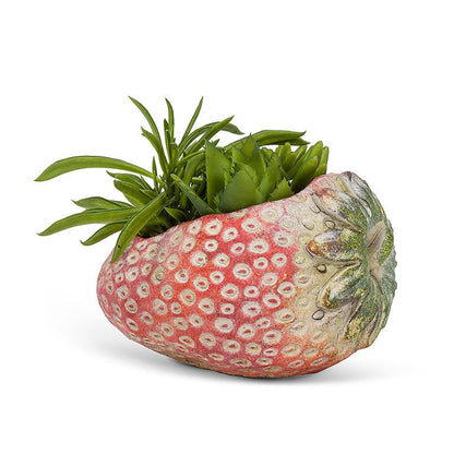 Laying Strawberry Cement Planter by Rust & Cinder