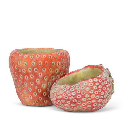 Laying Strawberry Cement Planter by Rust & Cinder