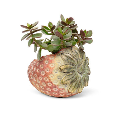 Laying Strawberry Cement Planter by Rust & Cinder