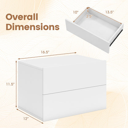 Wall Mounted Floating Nightstand with 2 Drawers by DirectDeals