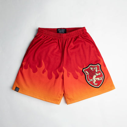 Crimson Lion anime mesh shorts with sublimated design