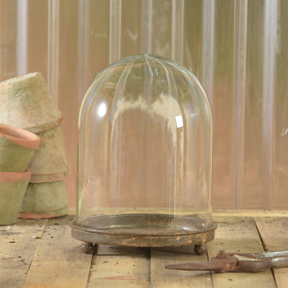 Mirabelle Glass Vitrine Cloche with Rustic Metal Base by Rust & Cinder