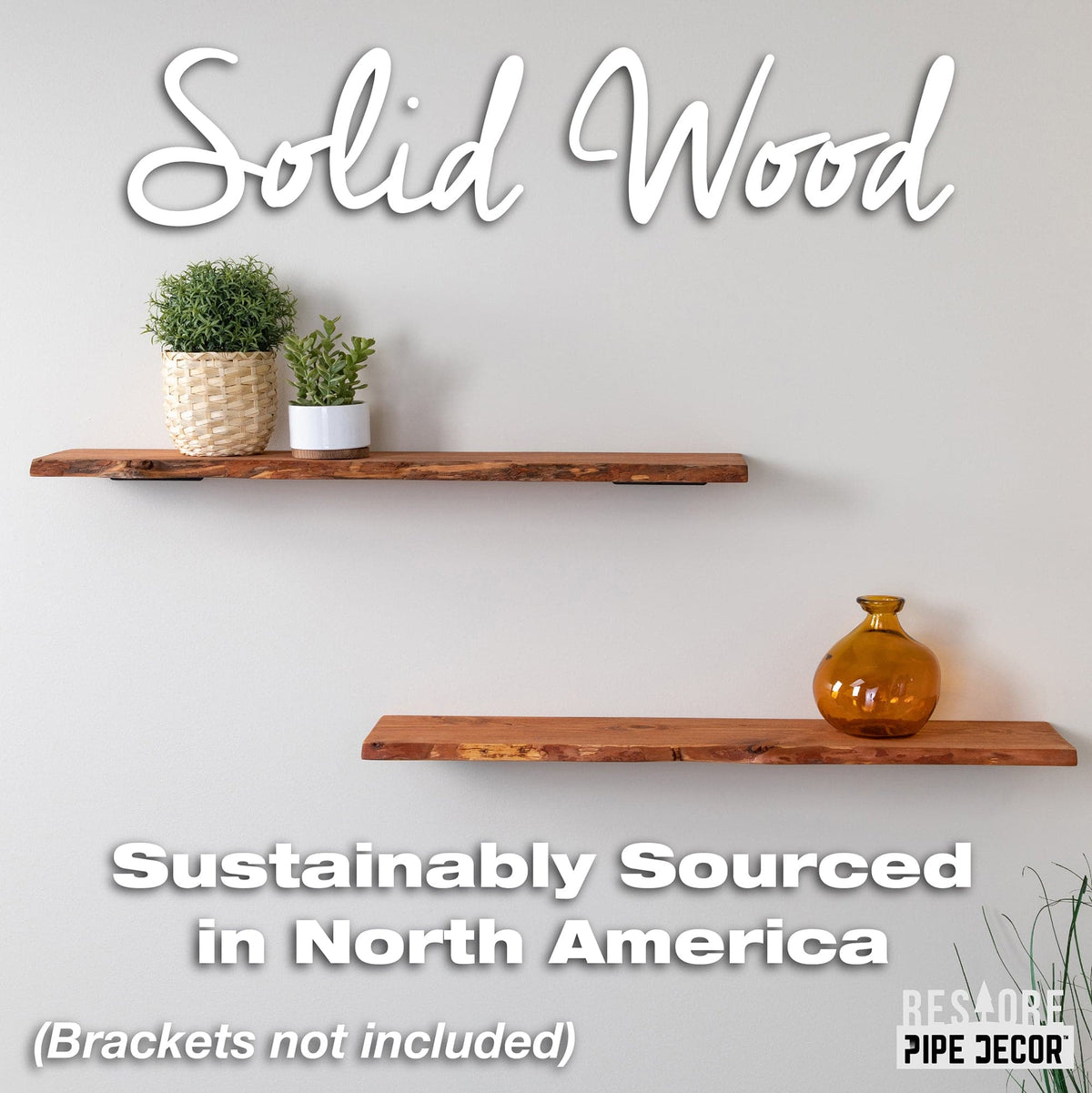 RESTORE Sunset Cedar 36 in. Live Edge Wood Shelf (Wood Only) by PIPE DECOR