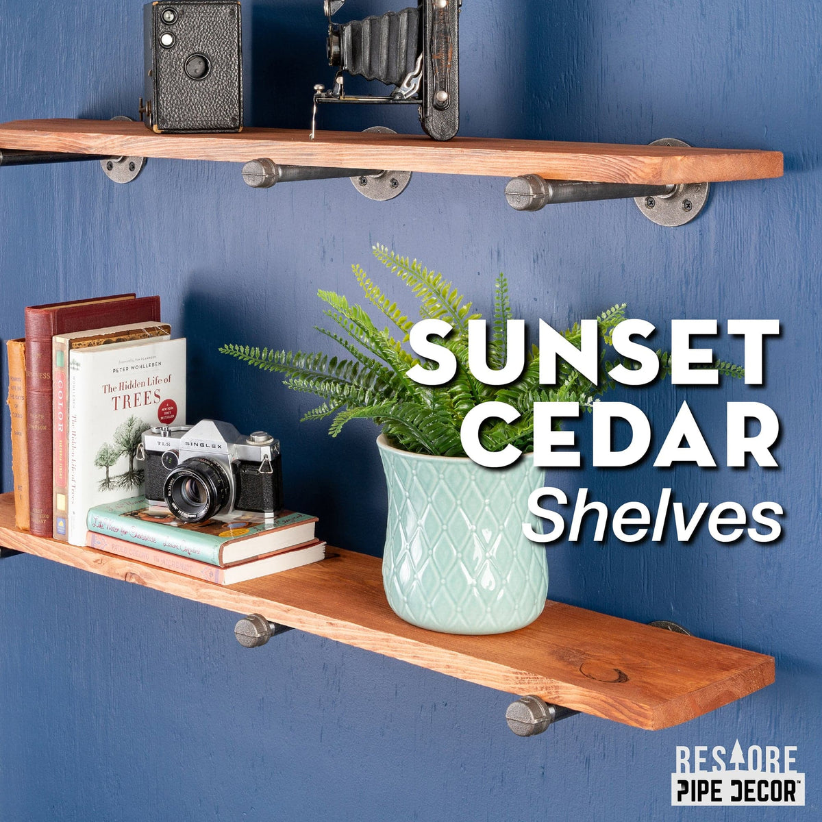 RESTORE Sunset Cedar 36 in. Shelves with Straight Brackets by PIPE DECOR