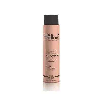 Mix Mellow Anti-Dandruff Shampoo: Natural Mint & Eucalyptus for Oily & Normal Hair - Sulfate & Paraben Free, 380ml by Beauty Care Bag
