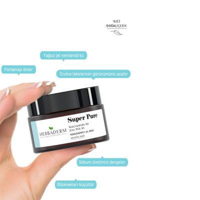 Herbaderm Moisturizing Gel Cream - Niacinamide & Zinc PCA for Acne Prone Skin, Lightweight & Non-Greasy, 1.69 fl oz by Beauty Care Bag