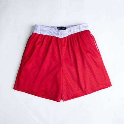 Baki anime mesh shorts with sublimated design