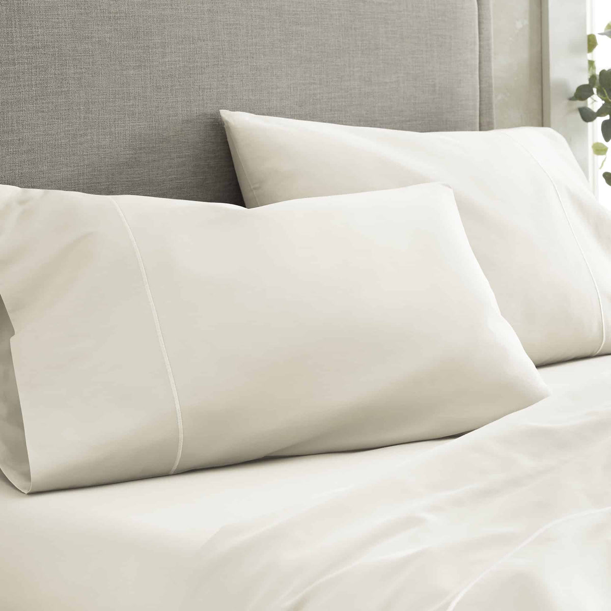 500 TC Sateen Bed Sheets by Whisper Organics