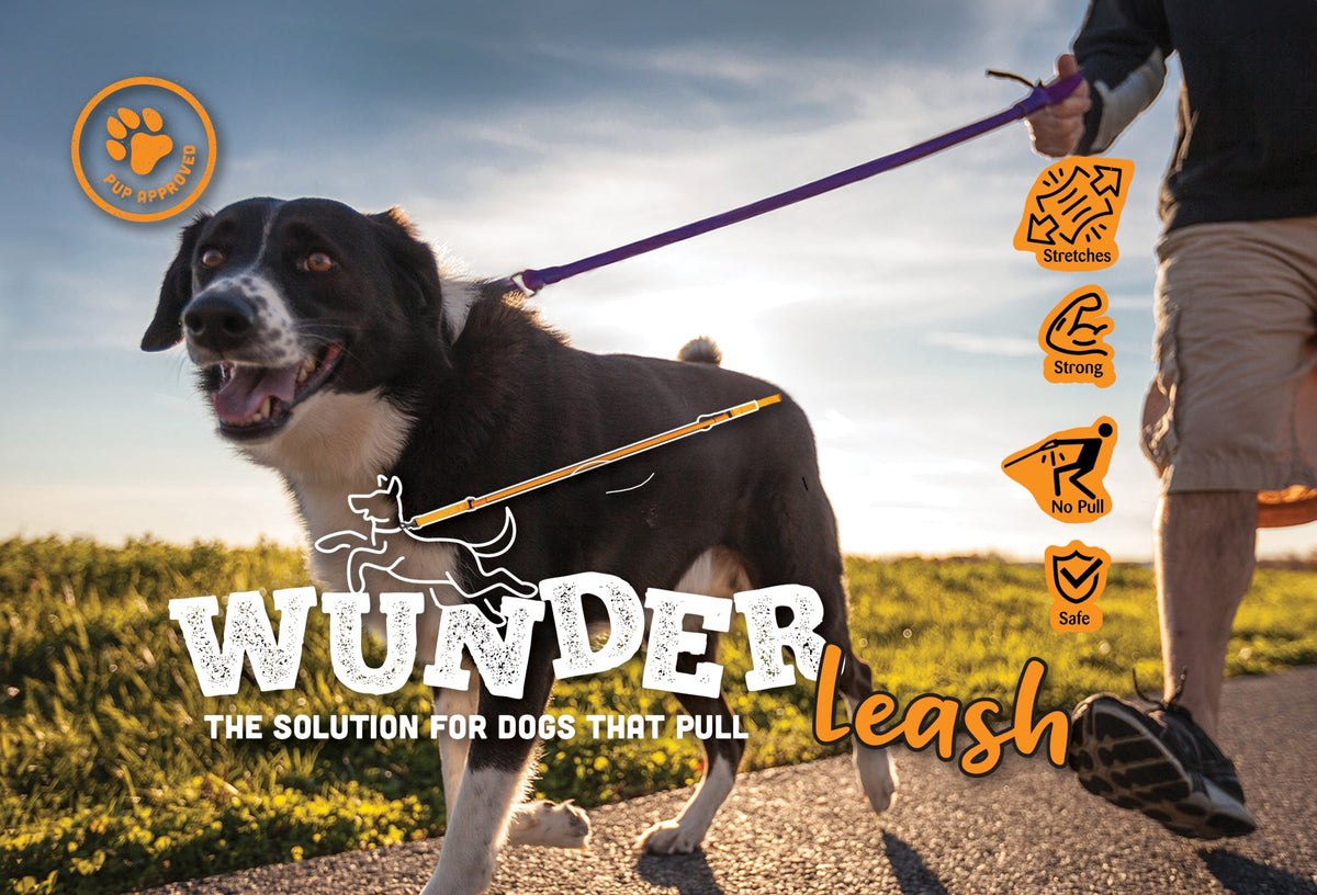 WUNDERleash – The Original No-Pull Dog Leash by WACKYstore