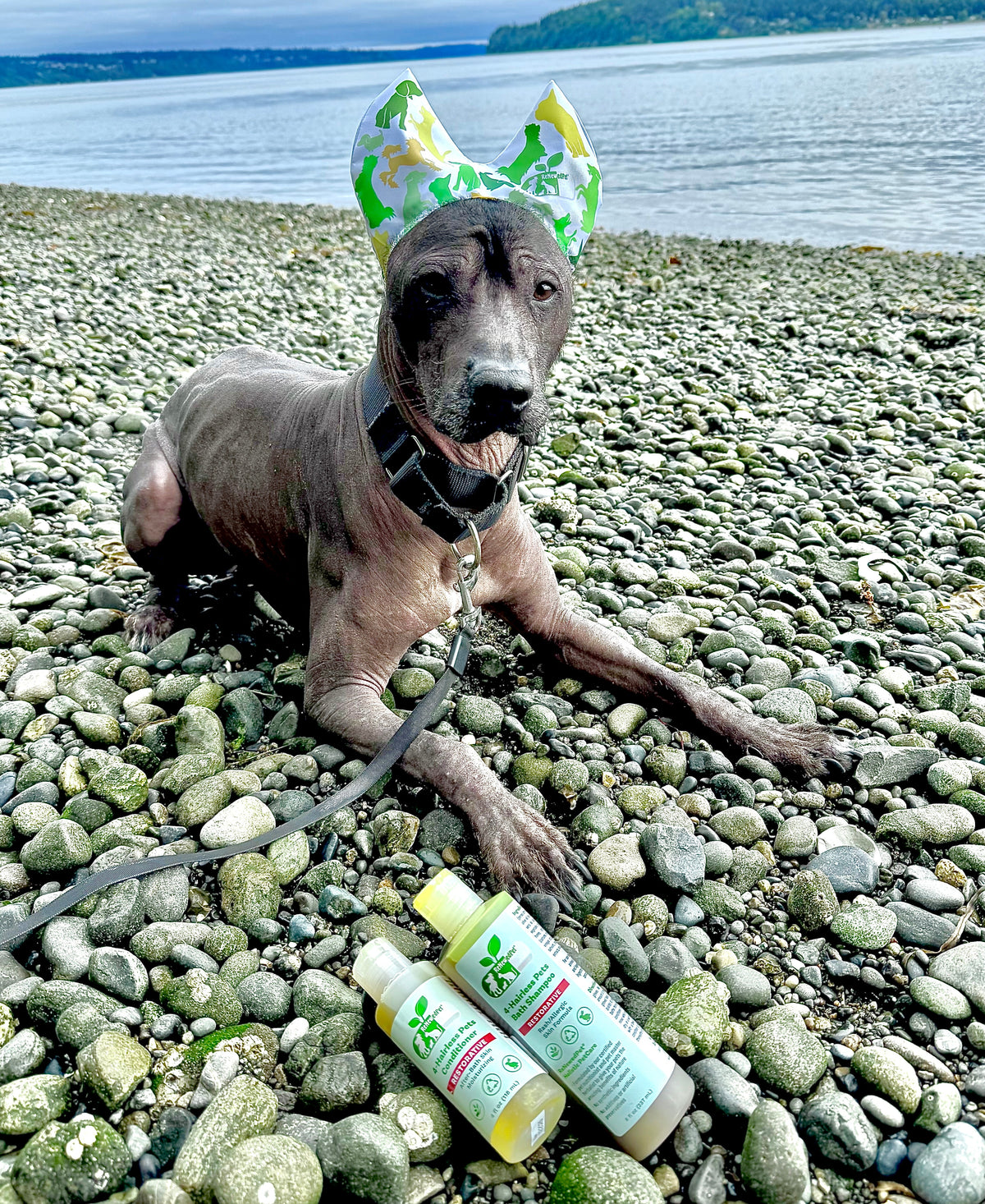 SUN CARE KIT by ReNewedPet