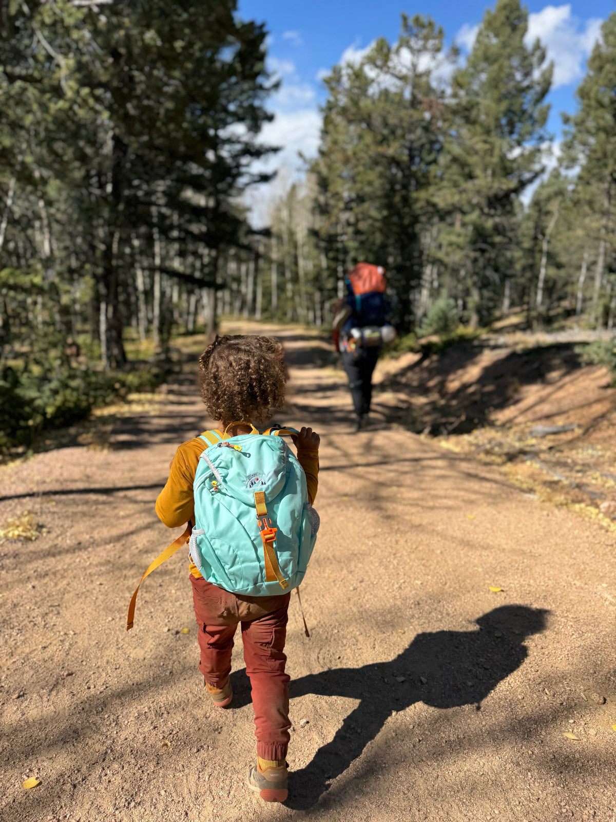 Kid’s (Ages 2 to 7) light blue Hiking Pack - Water Bladder System Compatible for Young Hikers by Keep the Littles Wild
