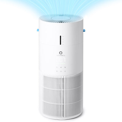Ethereal Rain AEH300 Air Purifier & Humidifier Combo by Airthereal