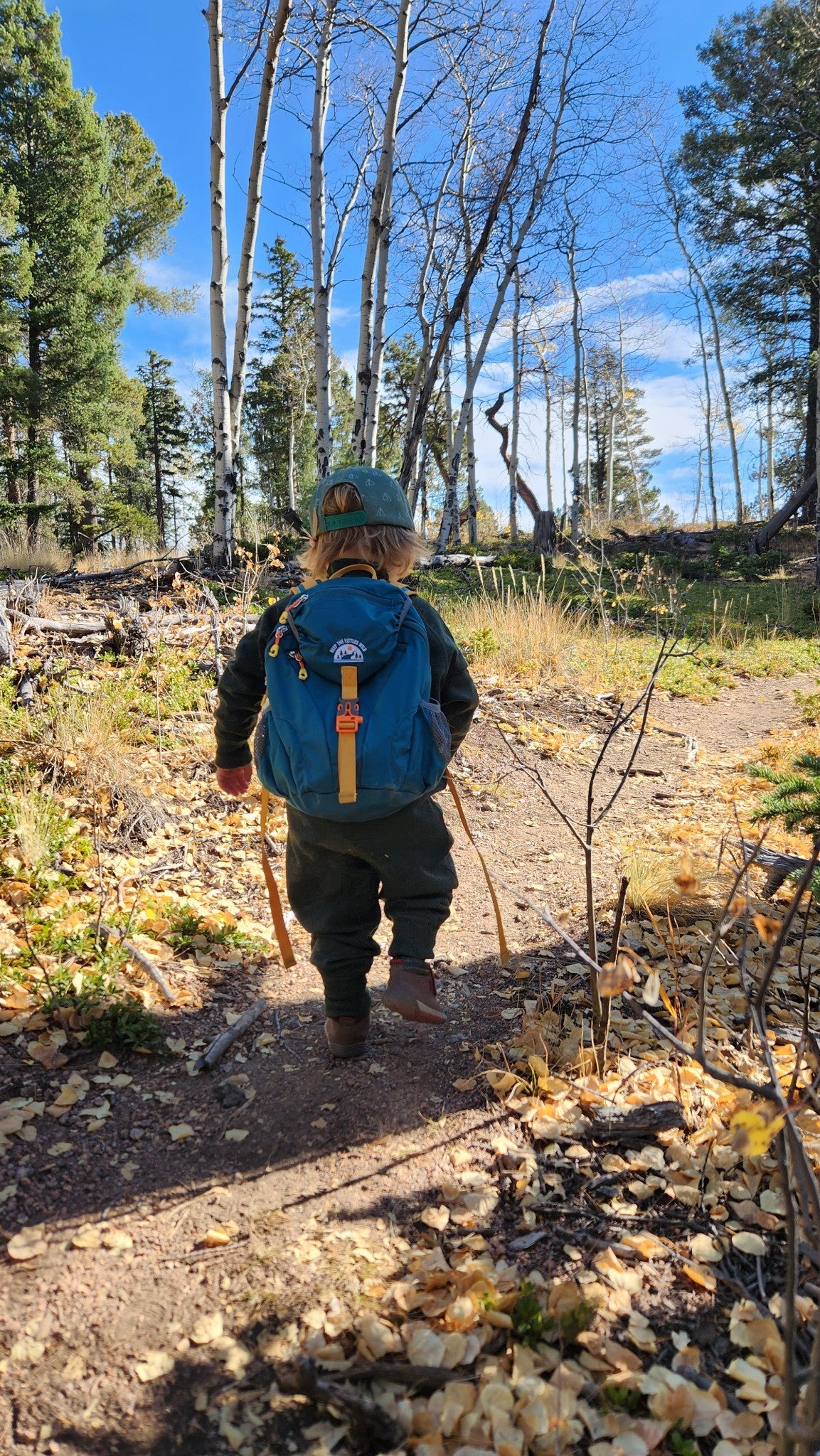 Kid’s (Ages 2 to 7) Teal Hiking Pack - Water Bladder Compatible Backpack for Young Hikers by Keep the Littles Wild