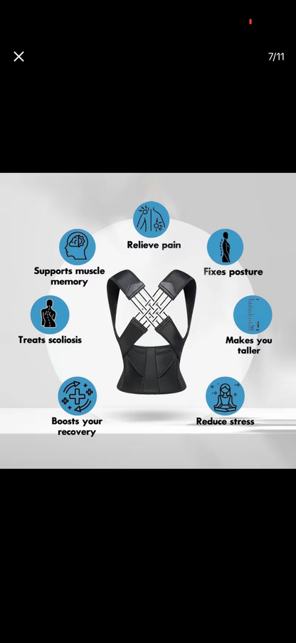 SpineAlign Pro by V.I.P Digital Presence