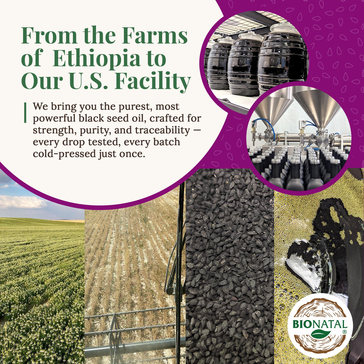 Ethiopian Black Seed Oil 5oz (GLASS) by BioNatal