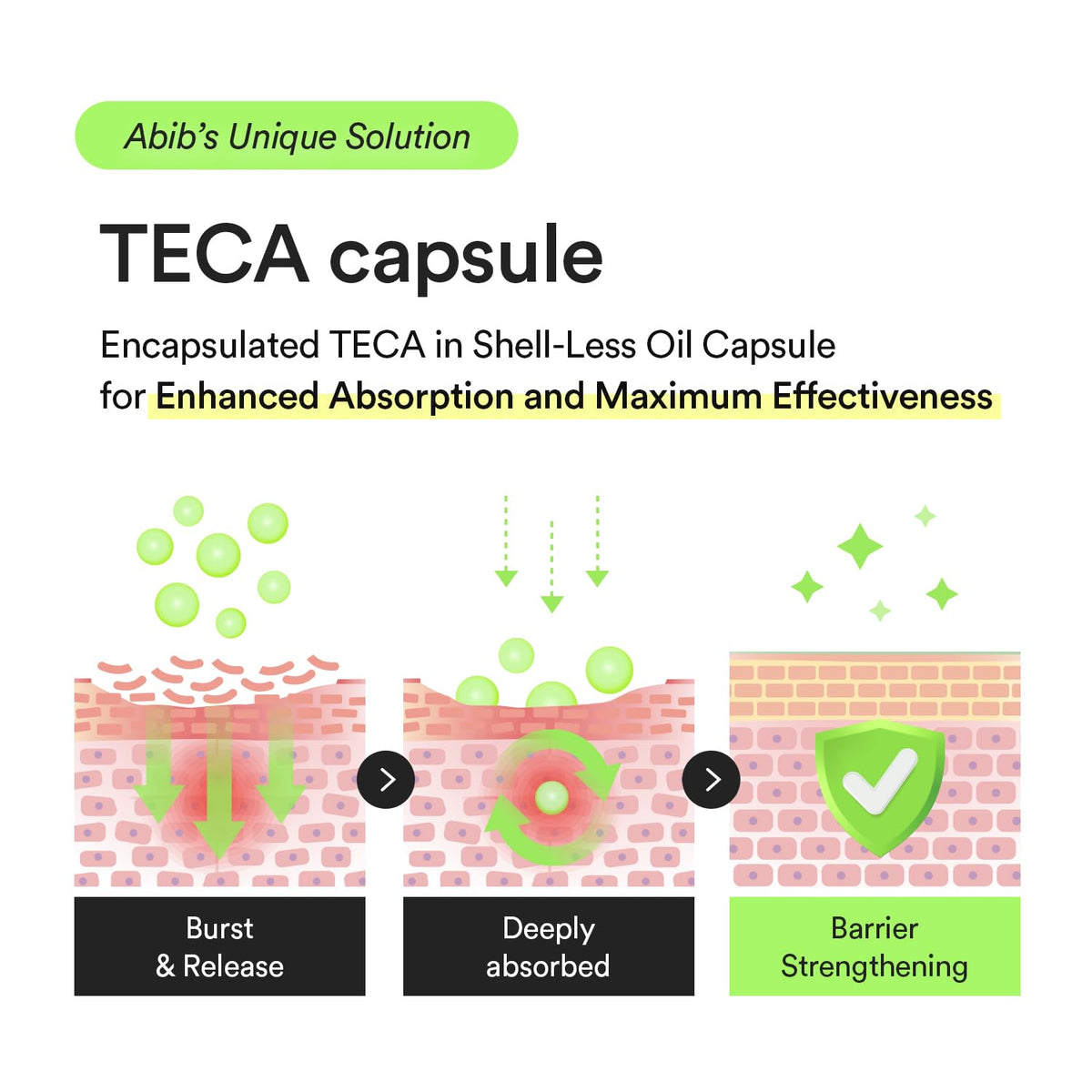 Abib Heartleaf TECA Capsule Serum by AsiaBeautyMall