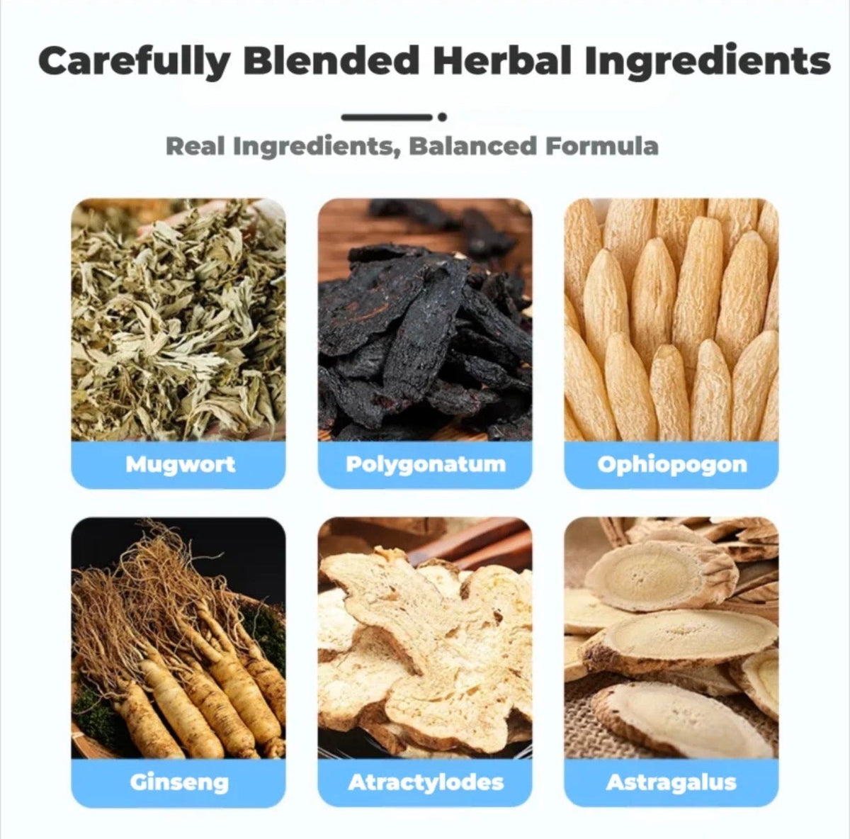 GlucoBalance Herbal Patches by V.I.P Digital Presence