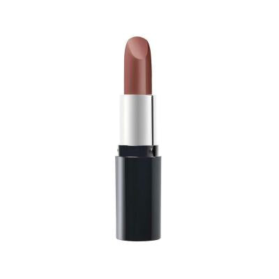 Pastel Nude Lipstick 536: Natural, Lightweight & Moisturizing Lip Color for Everyday Wear by Beauty Care Bag