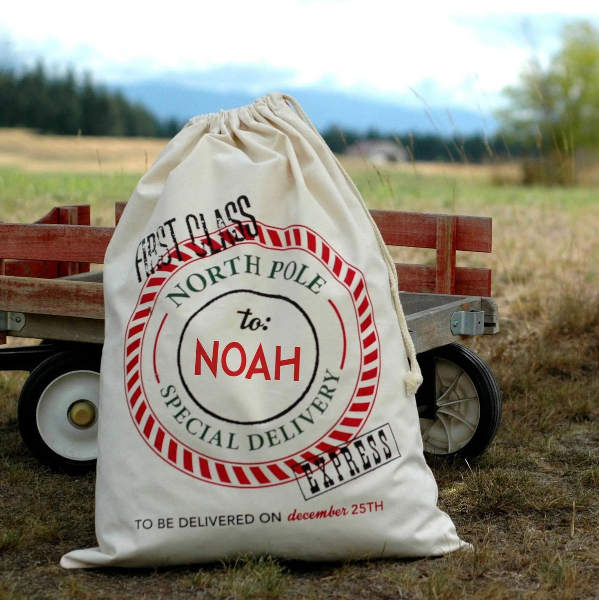 Santa Bag - Personalized Santa Bags - Custom Santa Bag by Joyful Moose