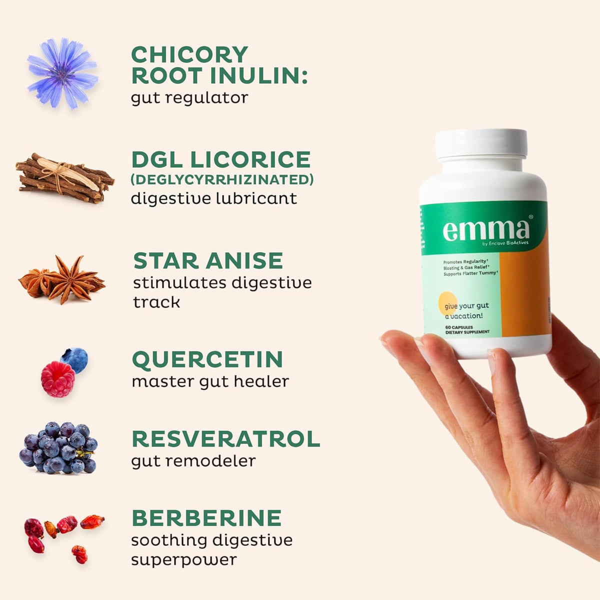 Emma Gut Health Supplement for Digestive Support & Bloating Relief – Doctor-Formulated, 60 Capsules by Shahmori