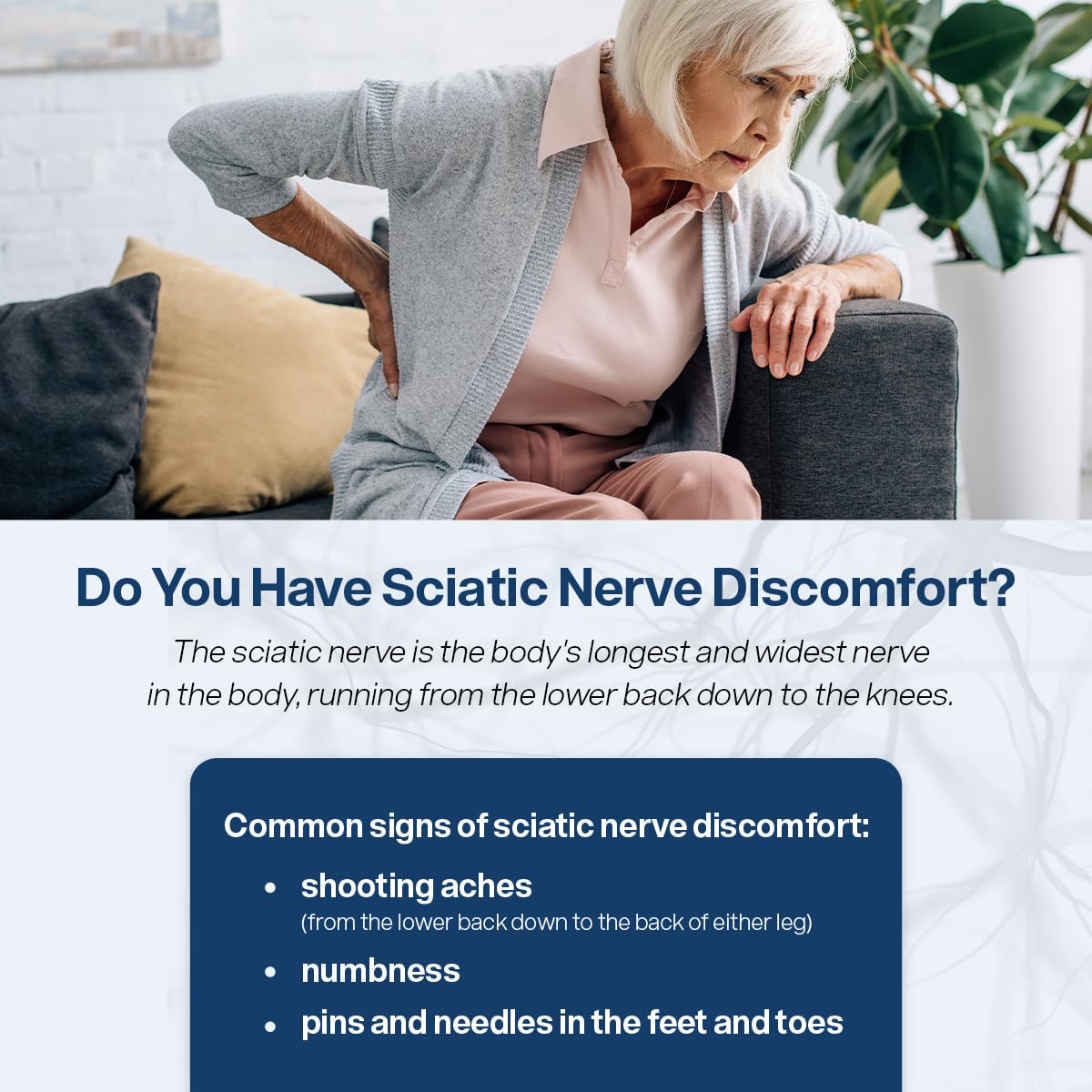 SciatiEase Nerve Support Supplement by Shahmori