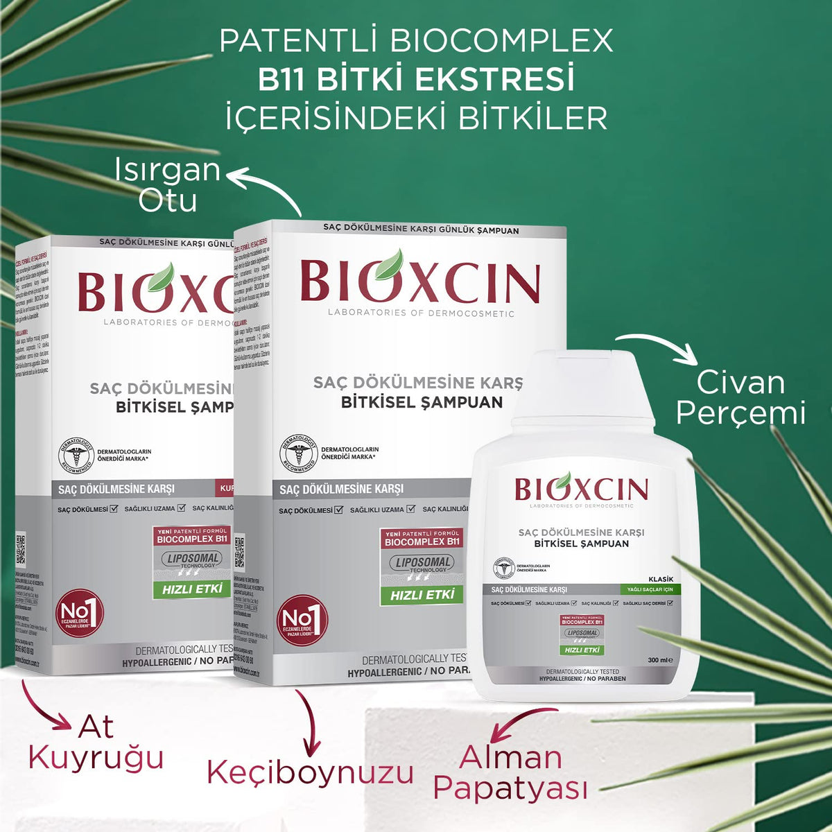 Bioxcin Anti-Hair Loss Shampoo for Oily Hair - Strengthens Hair Follicles, Prevents Hair Loss by Beauty Care Bag