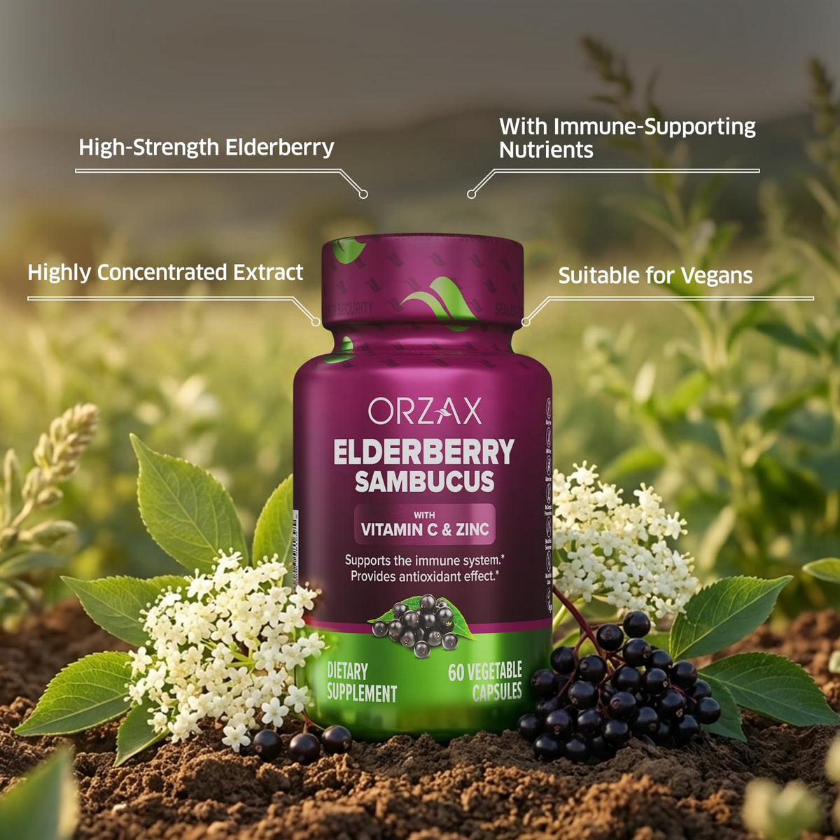 Orzax Immune Support Dietary Supplement Syrup - Sambucus Nigra, Vitamin C, Zinc for Kids & Adults by Beauty Care Bag
