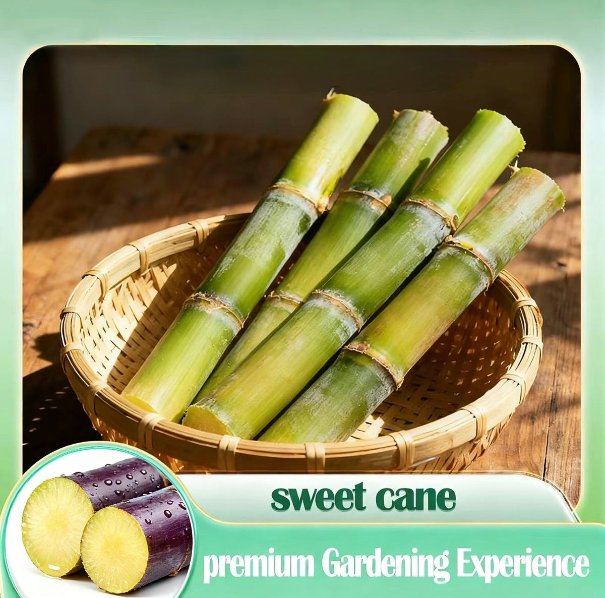 SweetHarvest Sugarcane Seeds by V.I.P Digital Presence